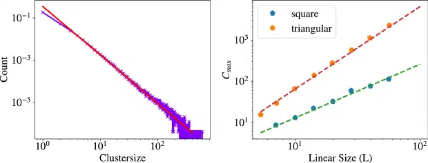 Left: cluster size distribution on a log-log plot following a straight line, indicating a power law. Right: size of the largest cluster against linear system size for square and triangular lattices, both following power laws with different slopes.