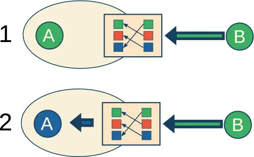 Agent A observes agent B through a translation table. Objectively B is green, but A's table maps green to blue, so A perceives blue and recolours itself blue.