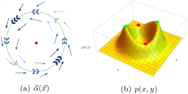 Key figure: Analysis of stochastic bifurcations with phase portraits