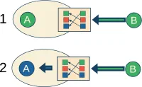 Collective patterns and stable misunderstandings in networks striving for consensus without a common value system
