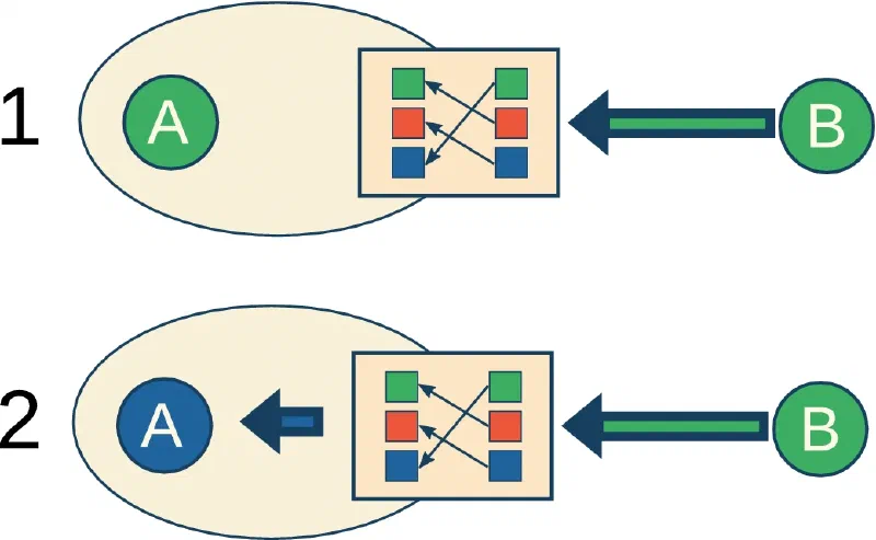 Key figure: Collective patterns and stable misunderstandings in networks striving for consensus without a common value system